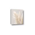 Picture of Creamy Petal Pampas I _GroupedProduct_Rectangle_Portrait_Photography _GroupedProduct_Rectangle_Portrait_Canvas_