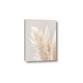 Picture of Creamy Petal Pampas I _GroupedProduct_Rectangle_Portrait_Photography _GroupedProduct_Rectangle_Portrait_Canvas_