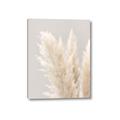 Picture of Creamy Petal Pampas I _GroupedProduct_Rectangle_Portrait_Photography _GroupedProduct_Rectangle_Portrait_Canvas_