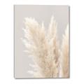 Picture of Creamy Petal Pampas I _GroupedProduct_Rectangle_Portrait_Photography _GroupedProduct_Rectangle_Portrait_Canvas_