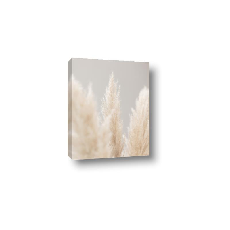 Picture of Creamy Petal Pampas II _GroupedProduct_Rectangle_Portrait_Photography _GroupedProduct_Rectangle_Portrait_Canvas_