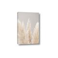 Picture of Creamy Petal Pampas II _GroupedProduct_Rectangle_Portrait_Photography _GroupedProduct_Rectangle_Portrait_Canvas_