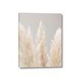 Picture of Creamy Petal Pampas II _GroupedProduct_Rectangle_Portrait_Photography _GroupedProduct_Rectangle_Portrait_Canvas_