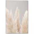 Picture of Creamy Petal Pampas II _GroupedProduct_Rectangle_Portrait_Photography _GroupedProduct_Rectangle_Portrait_Canvas_