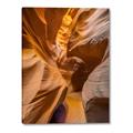 Picture of The Golden Passage _GroupedProduct_Rectangle_Portrait_Photography _GroupedProduct_Rectangle_Portrait_Canvas_