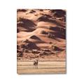 Picture of Tranquil Walk in the Valley _GroupedProduct_Rectangle_Portrait_Photography _GroupedProduct_Rectangle_Portrait_Canvas_