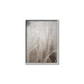 Picture of Elysian Grass _GroupedProduct_Rectangle_Portrait_Photography _GroupedProduct_Rectangle_Portrait_Canvas_Framed_