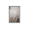 Picture of Elysian Grass _GroupedProduct_Rectangle_Portrait_Photography _GroupedProduct_Rectangle_Portrait_Canvas_Framed_