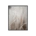 Picture of Elysian Grass _GroupedProduct_Rectangle_Portrait_Photography _GroupedProduct_Rectangle_Portrait_Canvas_Framed_