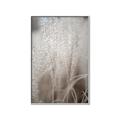Picture of Elysian Grass _GroupedProduct_Rectangle_Portrait_Photography _GroupedProduct_Rectangle_Portrait_Canvas_Framed_