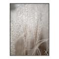Picture of Elysian Grass _GroupedProduct_Rectangle_Portrait_Photography _GroupedProduct_Rectangle_Portrait_Canvas_Framed_