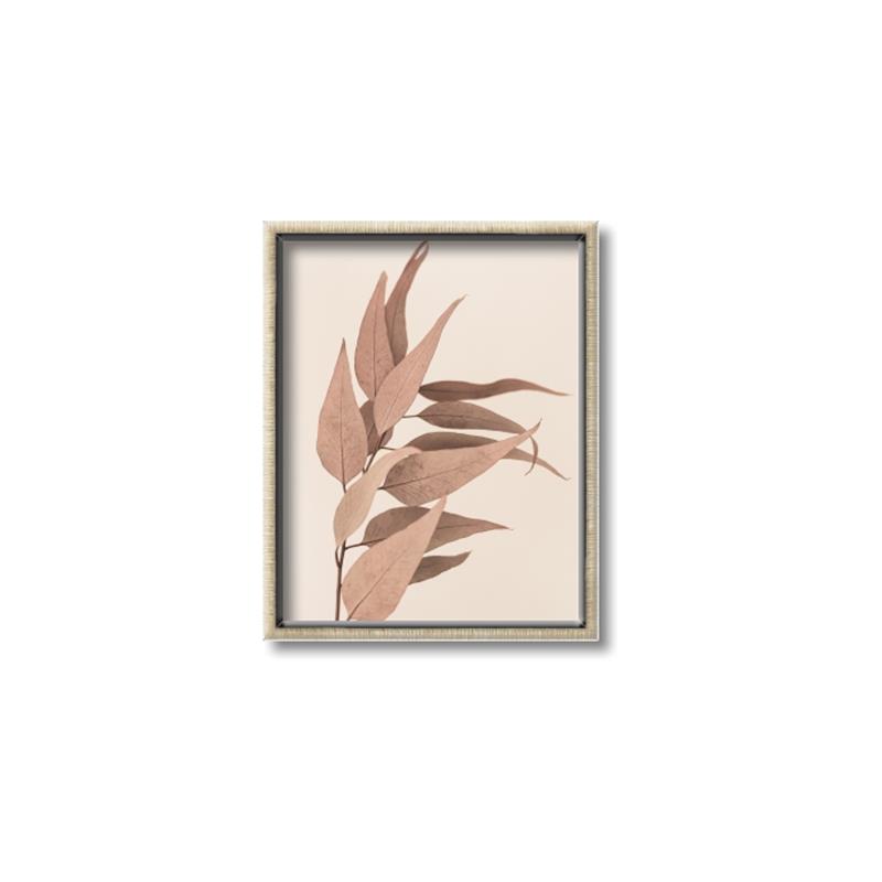 Picture of Dried Eucalyptus Blossom _GroupedProduct_Rectangle_Portrait_Photography _GroupedProduct_Rectangle_Portrait_Canvas_Framed_