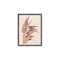 Picture of Dried Eucalyptus Blossom _GroupedProduct_Rectangle_Portrait_Photography _GroupedProduct_Rectangle_Portrait_Canvas_Framed_