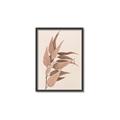Picture of Dried Eucalyptus Blossom _GroupedProduct_Rectangle_Portrait_Photography _GroupedProduct_Rectangle_Portrait_Canvas_Framed_