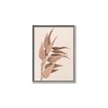 Picture of Dried Eucalyptus Blossom _GroupedProduct_Rectangle_Portrait_Photography _GroupedProduct_Rectangle_Portrait_Canvas_Framed_