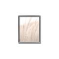 Picture of Rhapsody of Grass Blades _GroupedProduct_Rectangle_Portrait_Photography _GroupedProduct_Rectangle_Portrait_Canvas_Framed_