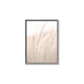 Picture of Rhapsody of Grass Blades _GroupedProduct_Rectangle_Portrait_Photography _GroupedProduct_Rectangle_Portrait_Canvas_Framed_
