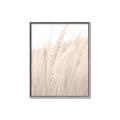 Picture of Rhapsody of Grass Blades _GroupedProduct_Rectangle_Portrait_Photography _GroupedProduct_Rectangle_Portrait_Canvas_Framed_