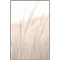 Picture of Rhapsody of Grass Blades _GroupedProduct_Rectangle_Portrait_Photography _GroupedProduct_Rectangle_Portrait_Canvas_Framed_