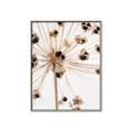 Picture of Ethereal Flower _GroupedProduct_Rectangle_Portrait_Photography _GroupedProduct_Rectangle_Portrait_Canvas_Framed_