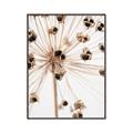 Picture of Ethereal Flower _GroupedProduct_Rectangle_Portrait_Photography _GroupedProduct_Rectangle_Portrait_Canvas_Framed_