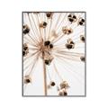 Picture of Ethereal Flower _GroupedProduct_Rectangle_Portrait_Photography _GroupedProduct_Rectangle_Portrait_Canvas_Framed_