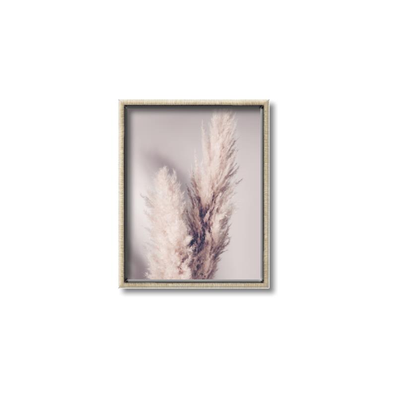 Picture of Enchanted Pampas Grass _GroupedProduct_Rectangle_Portrait_Photography _GroupedProduct_Rectangle_Portrait_Canvas_Framed_
