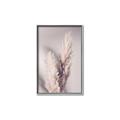 Picture of Enchanted Pampas Grass _GroupedProduct_Rectangle_Portrait_Photography _GroupedProduct_Rectangle_Portrait_Canvas_Framed_