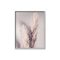 Picture of Enchanted Pampas Grass _GroupedProduct_Rectangle_Portrait_Photography _GroupedProduct_Rectangle_Portrait_Canvas_Framed_