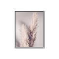 Picture of Enchanted Pampas Grass _GroupedProduct_Rectangle_Portrait_Photography _GroupedProduct_Rectangle_Portrait_Canvas_Framed_