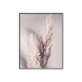 Picture of Enchanted Pampas Grass _GroupedProduct_Rectangle_Portrait_Photography _GroupedProduct_Rectangle_Portrait_Canvas_Framed_