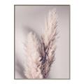 Picture of Enchanted Pampas Grass _GroupedProduct_Rectangle_Portrait_Photography _GroupedProduct_Rectangle_Portrait_Canvas_Framed_