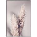 Picture of Enchanted Pampas Grass _GroupedProduct_Rectangle_Portrait_Photography _GroupedProduct_Rectangle_Portrait_Canvas_Framed_