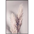 Picture of Enchanted Pampas Grass _GroupedProduct_Rectangle_Portrait_Photography _GroupedProduct_Rectangle_Portrait_Canvas_Framed_
