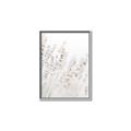 Picture of Grass straws _GroupedProduct_Rectangle_Portrait_Photography _GroupedProduct_Rectangle_Portrait_Canvas_Framed_