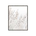Picture of Grass straws _GroupedProduct_Rectangle_Portrait_Photography _GroupedProduct_Rectangle_Portrait_Canvas_Framed_