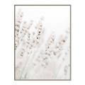 Picture of Grass straws _GroupedProduct_Rectangle_Portrait_Photography _GroupedProduct_Rectangle_Portrait_Canvas_Framed_