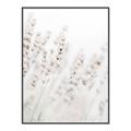 Picture of Grass straws _GroupedProduct_Rectangle_Portrait_Photography _GroupedProduct_Rectangle_Portrait_Canvas_Framed_