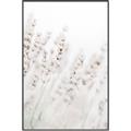 Picture of Grass straws _GroupedProduct_Rectangle_Portrait_Photography _GroupedProduct_Rectangle_Portrait_Canvas_Framed_