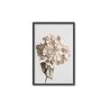 Picture of Lullaby of a Beige Flower _GroupedProduct_Rectangle_Portrait_Photography _GroupedProduct_Rectangle_Portrait_Canvas_Framed_