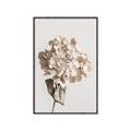 Picture of Lullaby of a Beige Flower _GroupedProduct_Rectangle_Portrait_Photography _GroupedProduct_Rectangle_Portrait_Canvas_Framed_