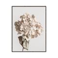 Picture of Lullaby of a Beige Flower _GroupedProduct_Rectangle_Portrait_Photography _GroupedProduct_Rectangle_Portrait_Canvas_Framed_