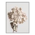 Picture of Lullaby of a Beige Flower _GroupedProduct_Rectangle_Portrait_Photography _GroupedProduct_Rectangle_Portrait_Canvas_Framed_