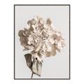 Picture of Lullaby of a Beige Flower _GroupedProduct_Rectangle_Portrait_Photography _GroupedProduct_Rectangle_Portrait_Canvas_Framed_