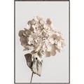 Picture of Lullaby of a Beige Flower _GroupedProduct_Rectangle_Portrait_Photography _GroupedProduct_Rectangle_Portrait_Canvas_Framed_
