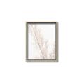 Picture of Earthy Flora Straws _GroupedProduct_Rectangle_Portrait_Photography _GroupedProduct_Rectangle_Portrait_Canvas_Framed_