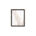 Picture of Earthy Flora Straws _GroupedProduct_Rectangle_Portrait_Photography _GroupedProduct_Rectangle_Portrait_Canvas_Framed_