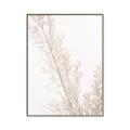 Picture of Earthy Flora Straws _GroupedProduct_Rectangle_Portrait_Photography _GroupedProduct_Rectangle_Portrait_Canvas_Framed_