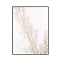 Picture of Earthy Flora Straws _GroupedProduct_Rectangle_Portrait_Photography _GroupedProduct_Rectangle_Portrait_Canvas_Framed_