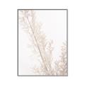 Picture of Earthy Flora Straws _GroupedProduct_Rectangle_Portrait_Photography _GroupedProduct_Rectangle_Portrait_Canvas_Framed_